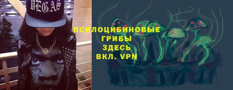 Псилоцибиновые грибы мухоморы  Бакал 